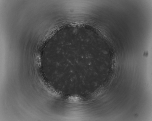 X0000114190699200910231321