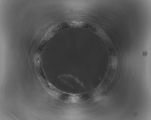 X0000114190701200910231321