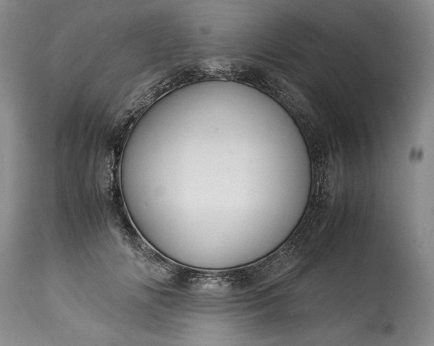 X0000114190702200910231321