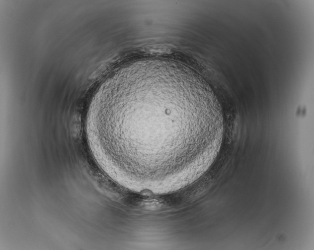 X0000114190704200910231321