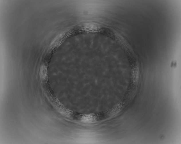 X0000114190705200910231321