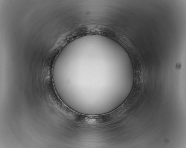 X0000114190706200910231321