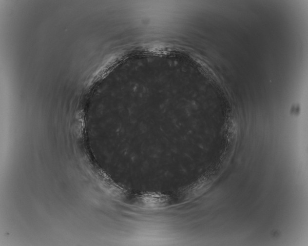 X0000114190707200910231321