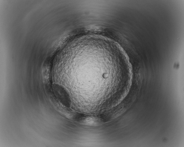 X0000114190708200910231321