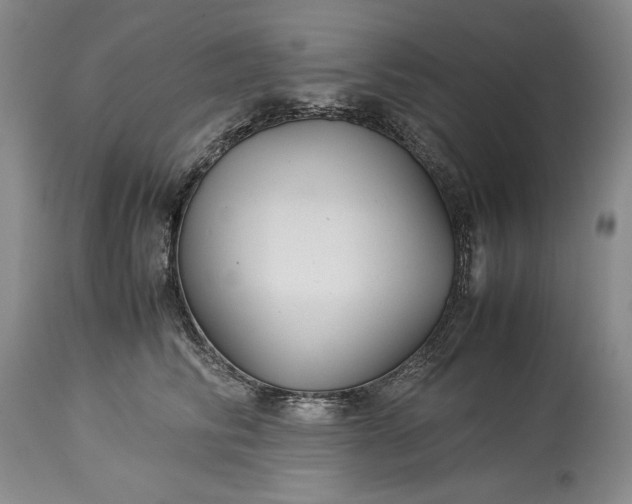X0000114190710200910231321