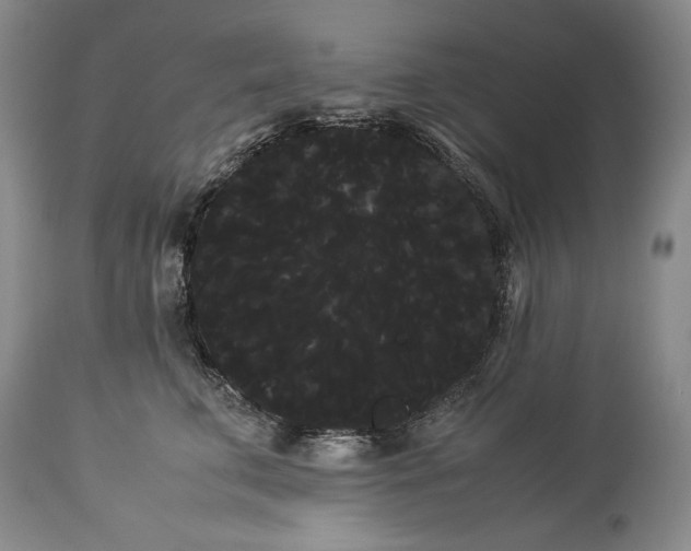 X0000114190711200910231321