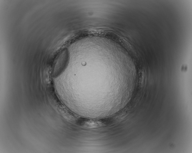 X0000114190712200910231321