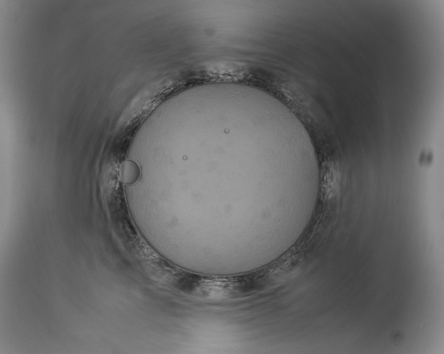 X0000114190713200910231321