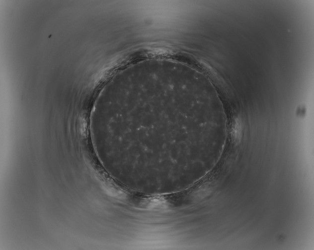 X0000114190715200910231321