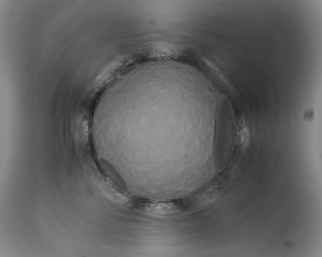 X0000114190716200910231321