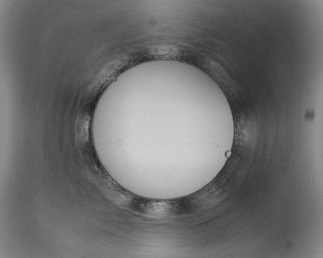 X0000114190717200910231321