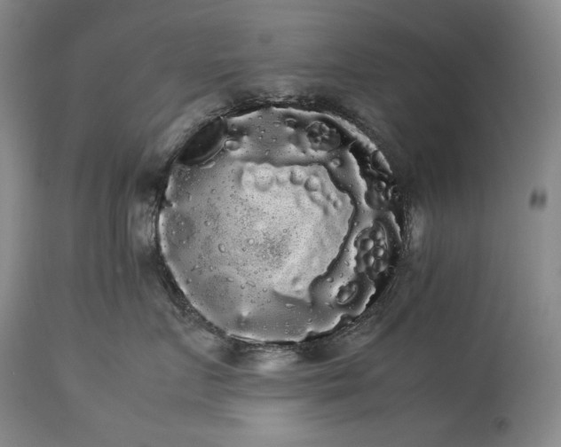 X0000114190719200910231321