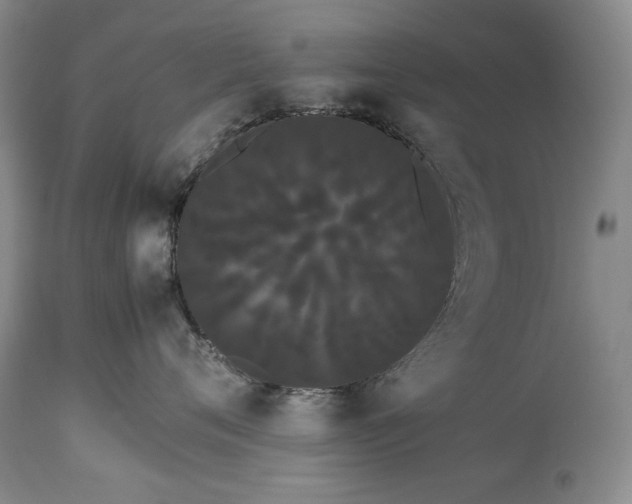 X0000114190720200910231321