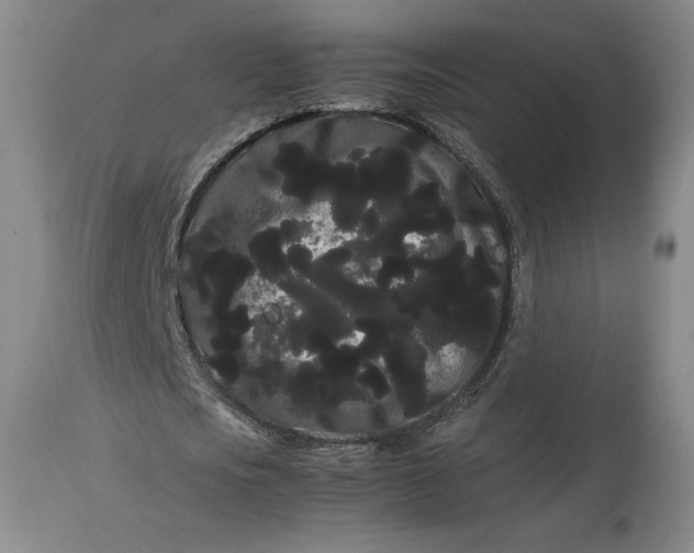 X0000114190721200910231320