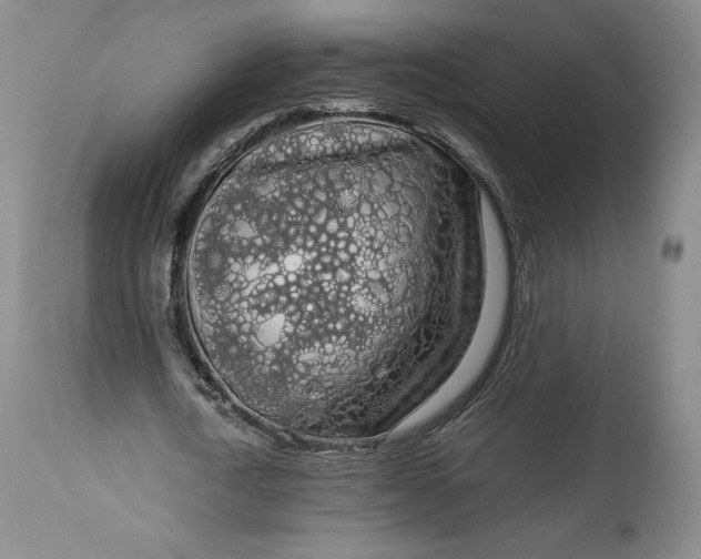 X0000114190722200910231320