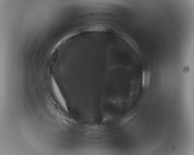 X0000114190723200910231320