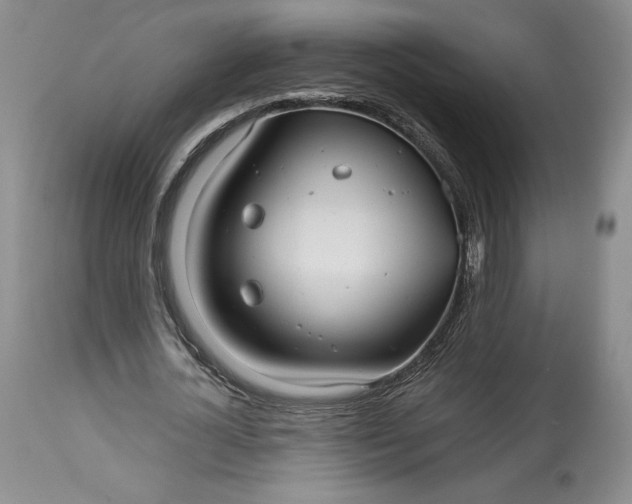 X0000114190724200910231320