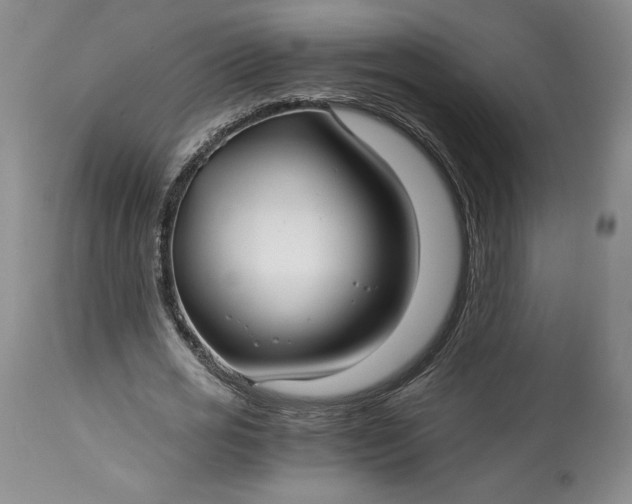 X0000114190725200910231320