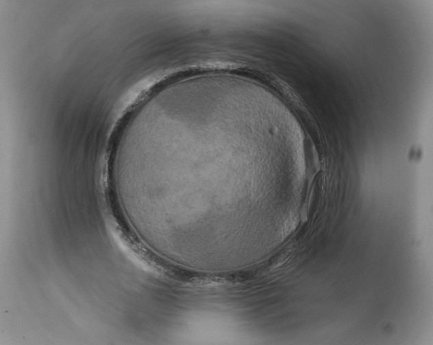 X0000114190726200910231320