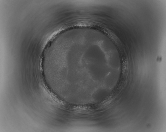 X0000114190727200910231320