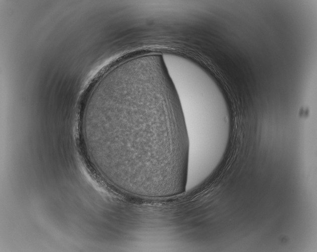 X0000114190728200910231320