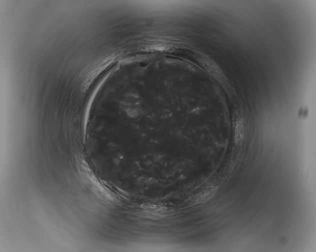 X0000114190729200910231320