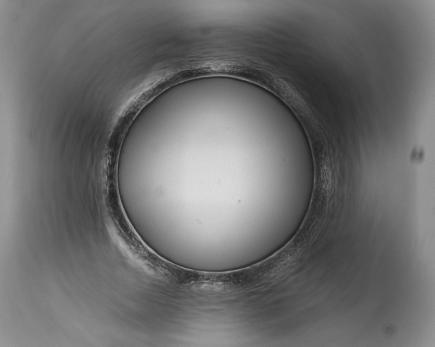 X0000114190730200910231320