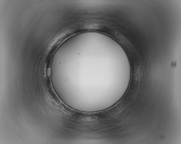 X0000114190731200910231320