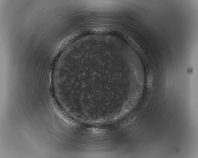 X0000114190733200910231320