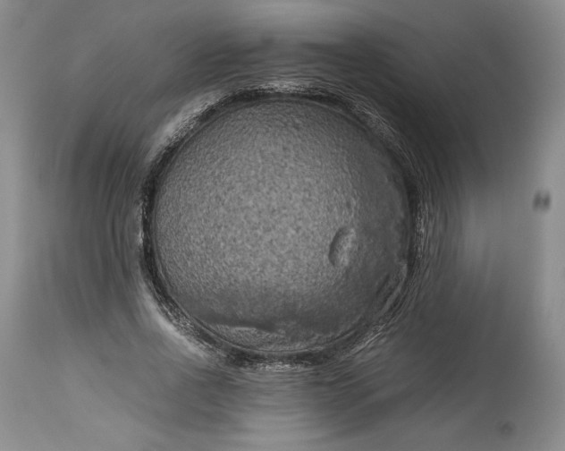 X0000114190734200910231320