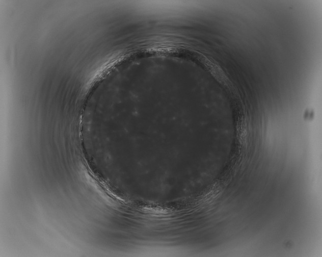 X0000114190735200910231320