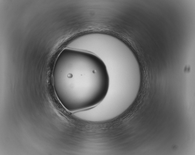 X0000114190736200910231320