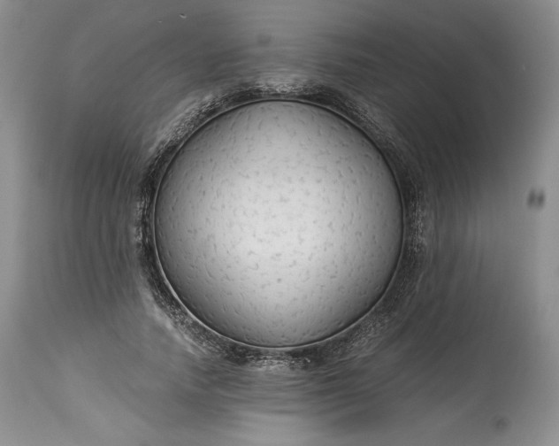 X0000114190738200910231320