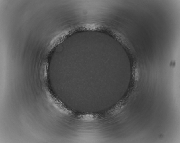 X0000114190740200910231320