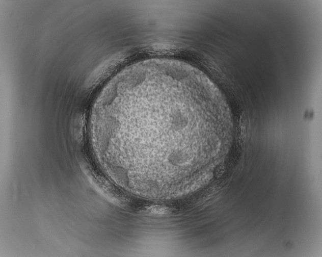 X0000114190742200910231320
