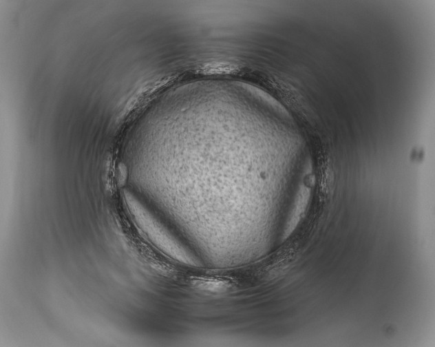X0000114190743200910231320