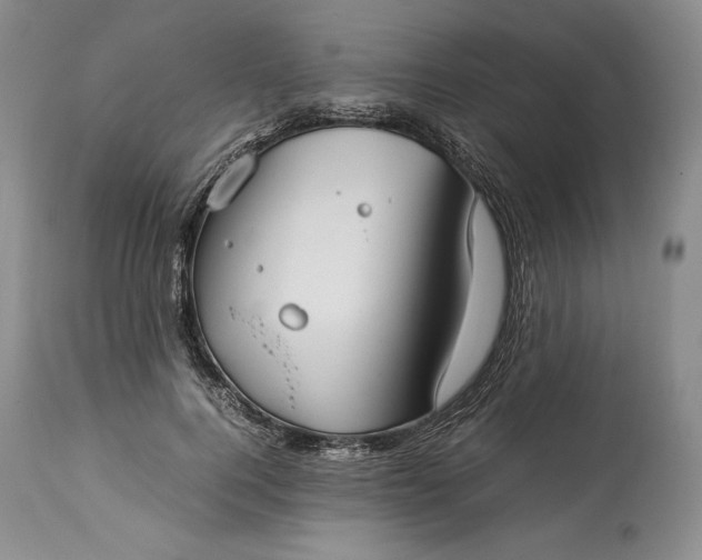 X0000114190744200910231320