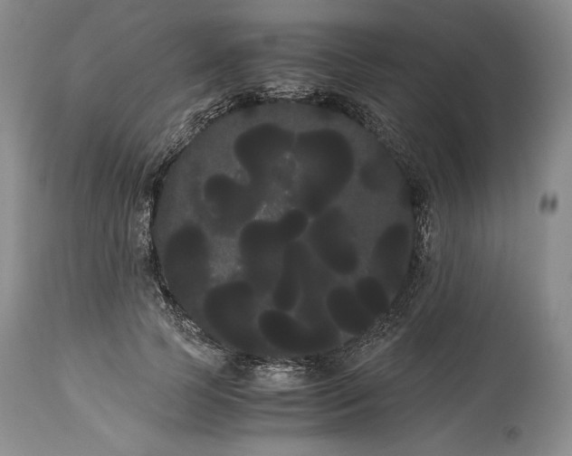 X0000114190745200910231320