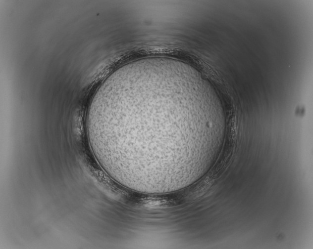 X0000114190746200910231320