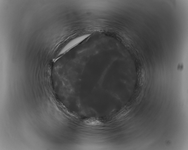 X0000114190747200910231320