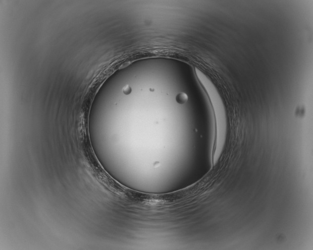 X0000114190748200910231320