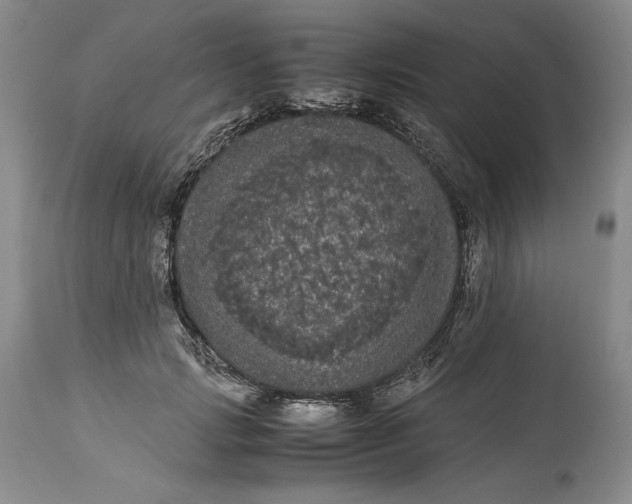 X0000114190749200910231320