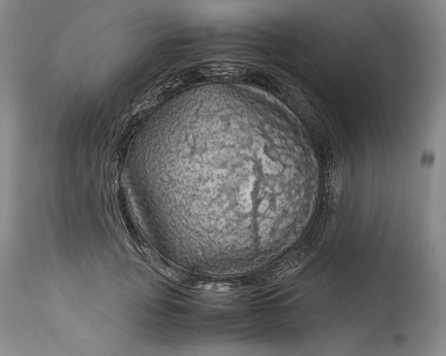 X0000114190751200910231320
