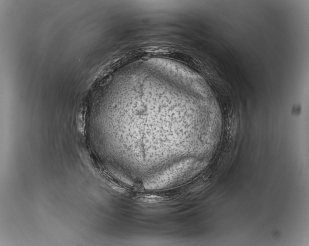 X0000114190755200910231320