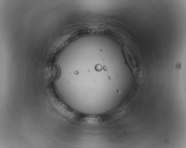 X0000114190756200910231320