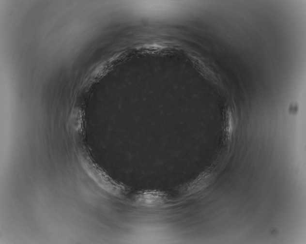 X0000114190758200910231320