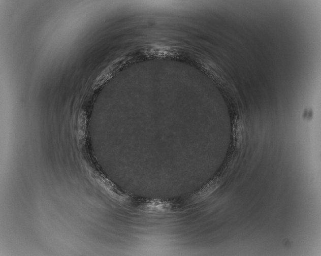 X0000114190760200910231320