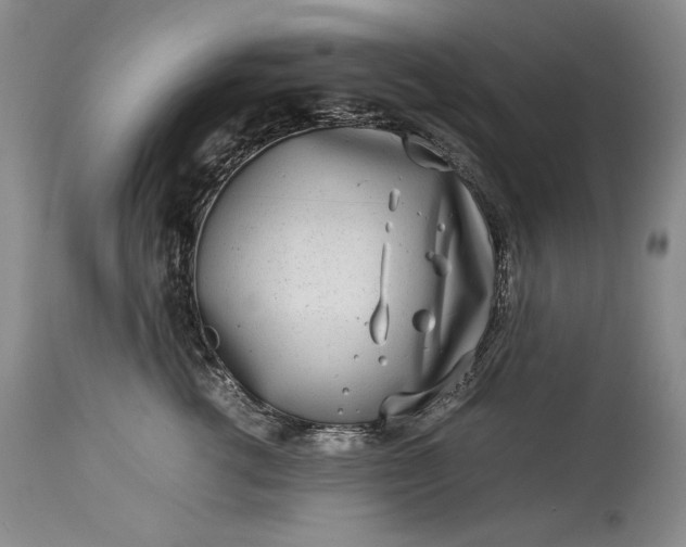 X0000114190762200910231321