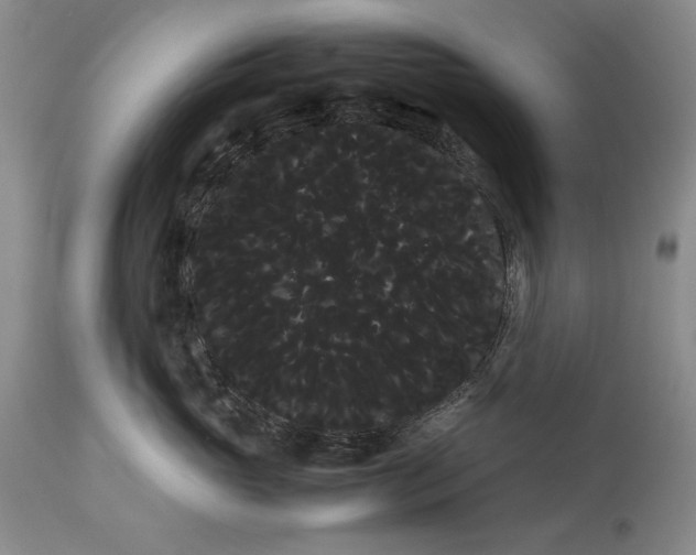 X0000114190765200910231321