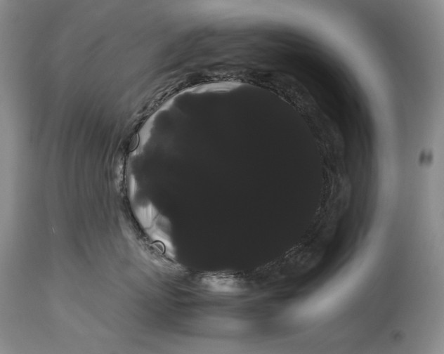 X0000114190767200910231321